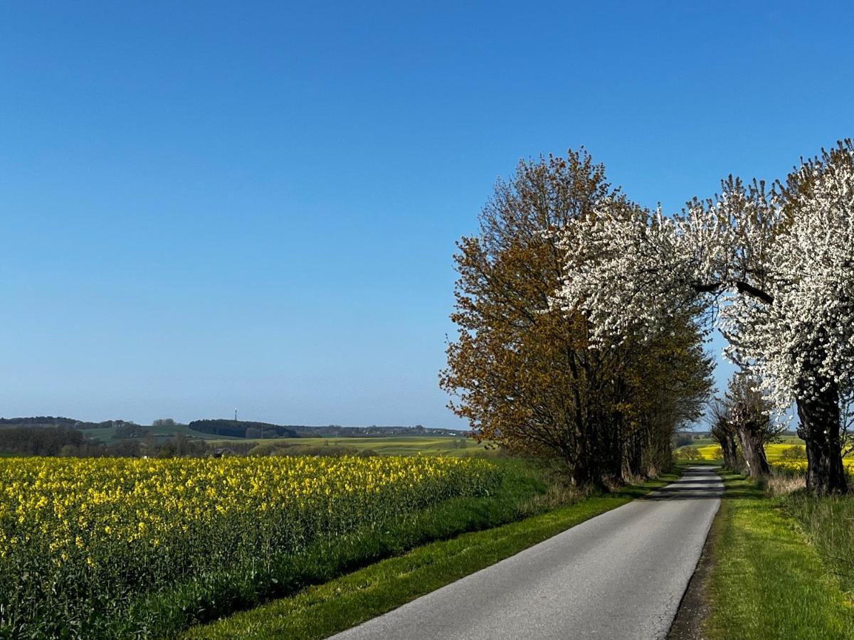 Gut Manderow An Der Ostsee Hohenkirchen  Εξωτερικό φωτογραφία